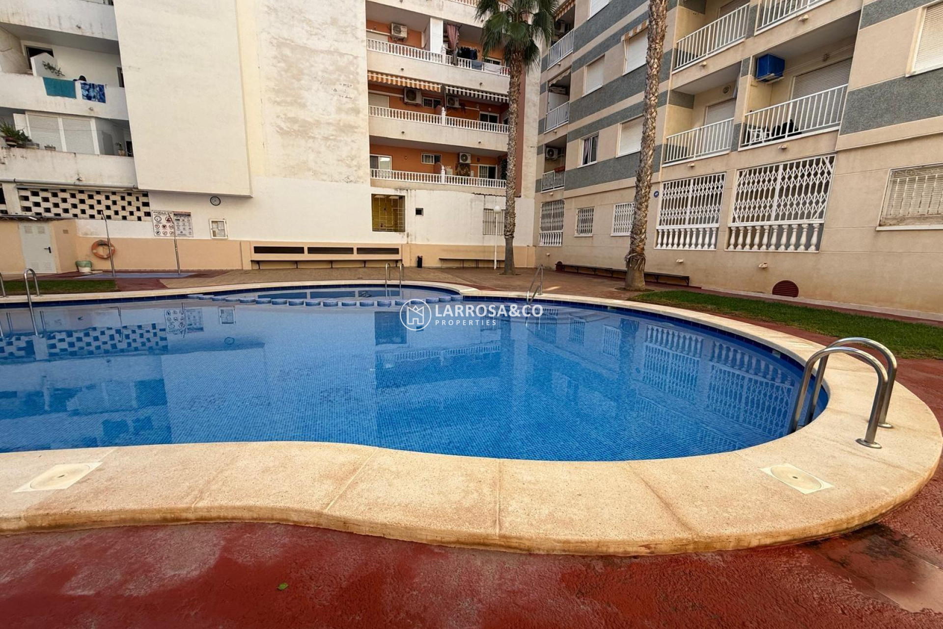 Reventa - Apartamento - Torrevieja - Habaneras
