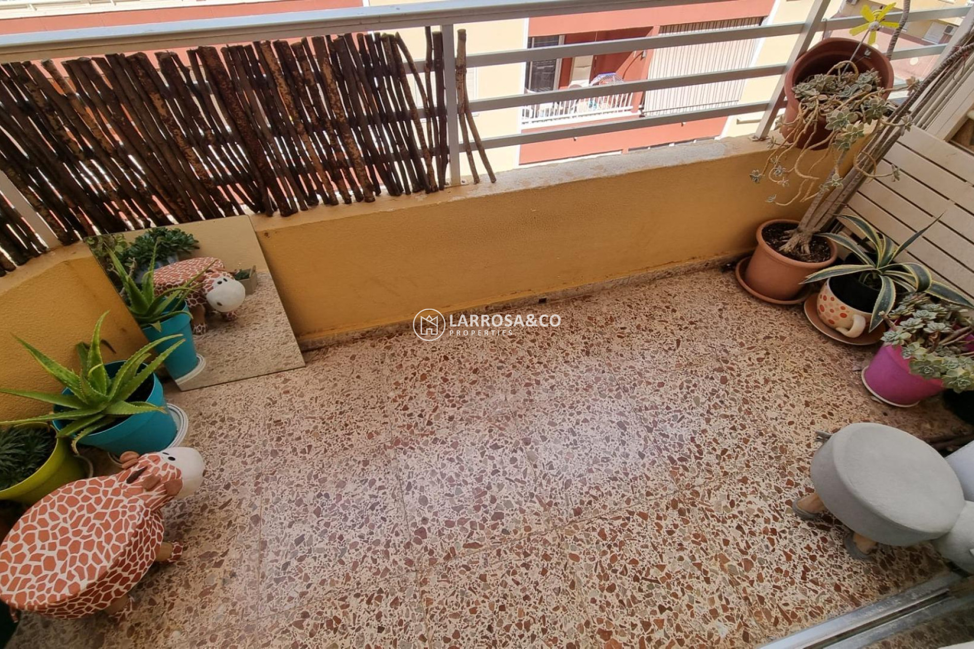 Reventa - Apartamento - Torrevieja - Habaneras