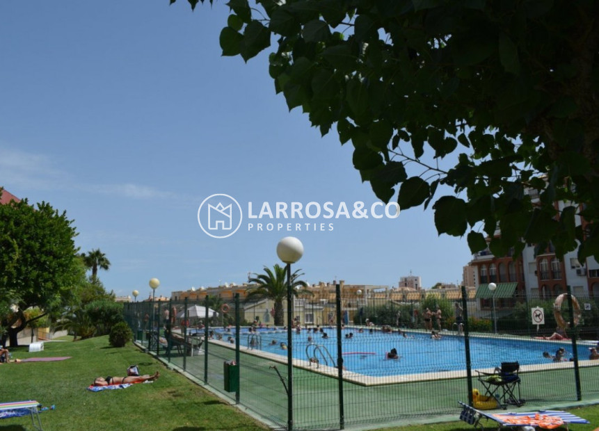 Reventa - Apartamento - Torrevieja - La Mata