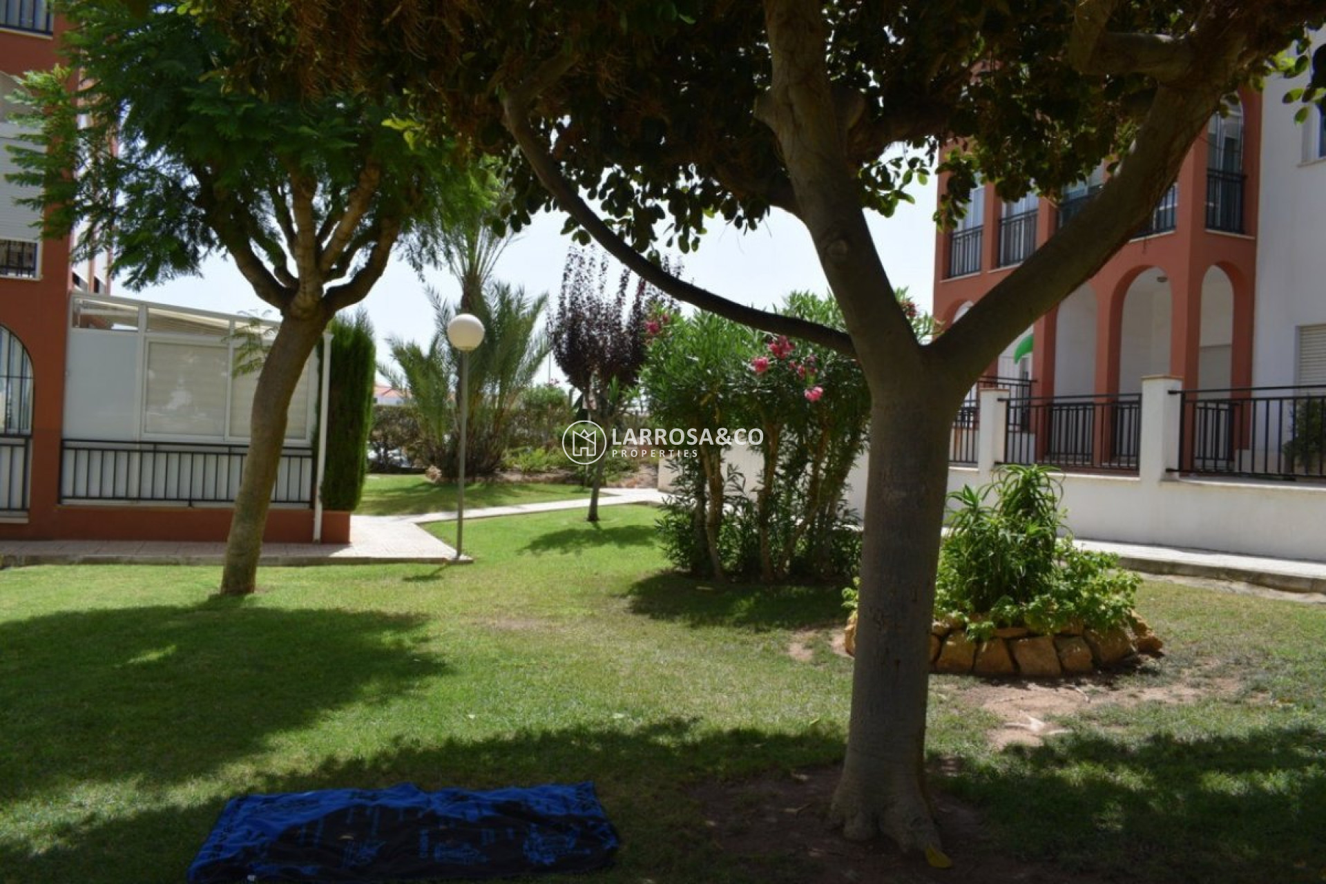Reventa - Apartamento - Torrevieja - La Mata