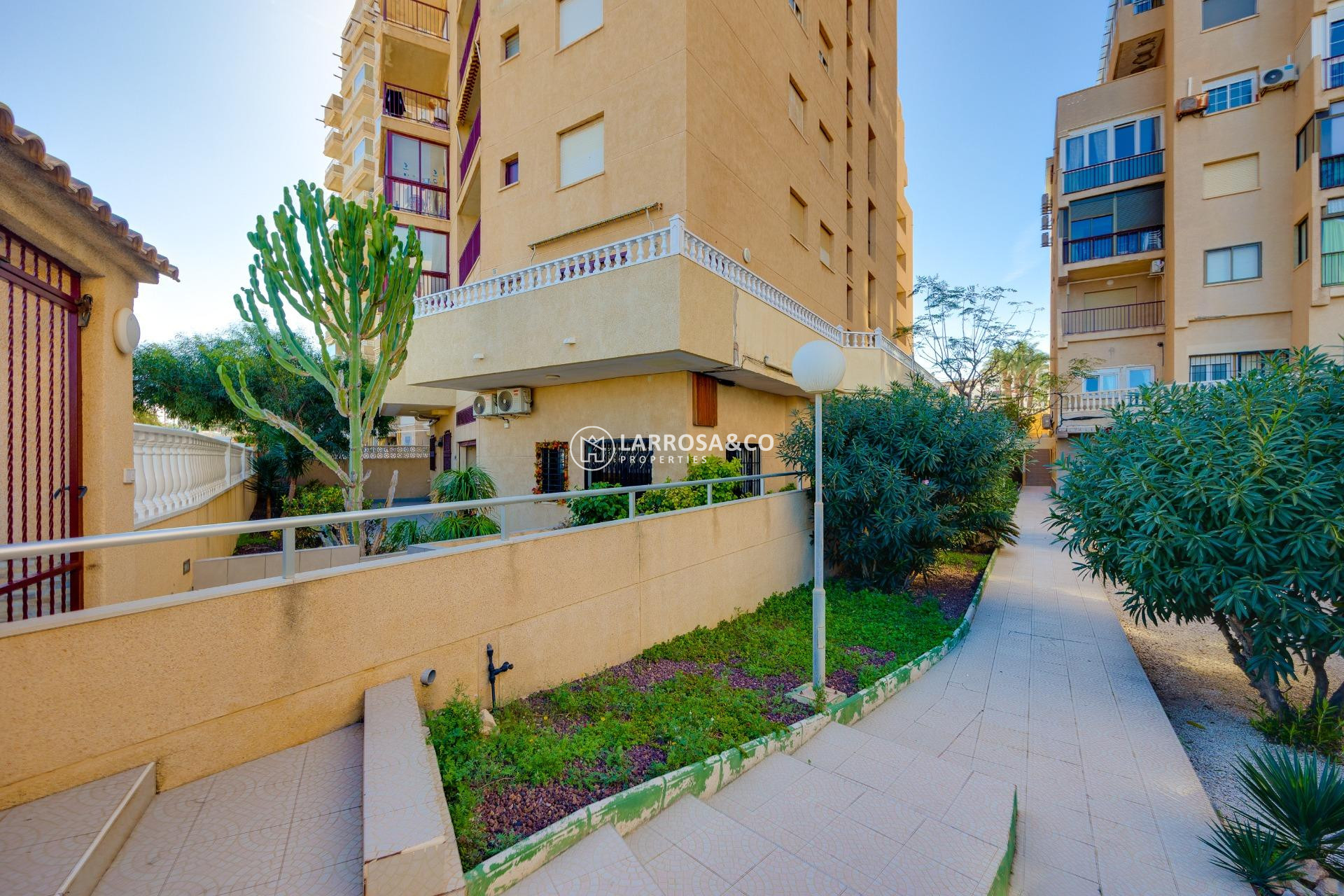 Reventa - Apartamento - Torrevieja - La Mata