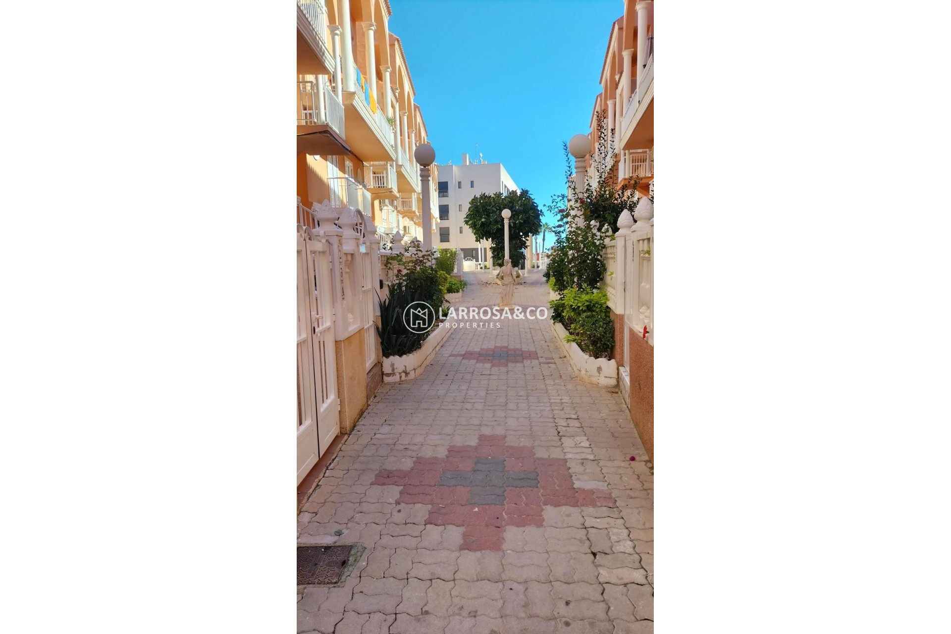 Reventa - Apartamento - Torrevieja - La Mata