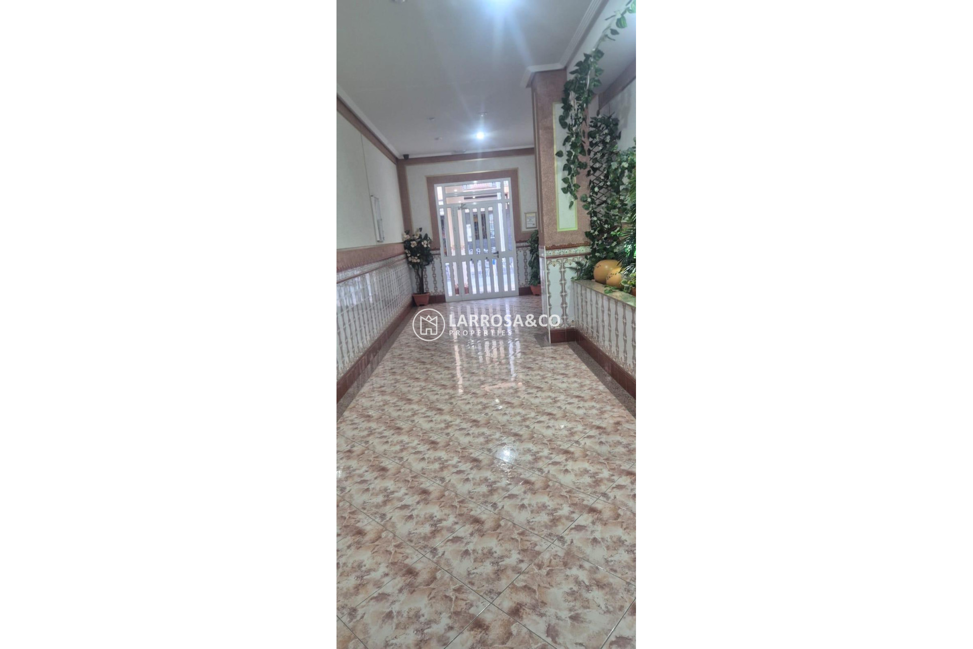 Reventa - Apartamento - Torrevieja - La Mata