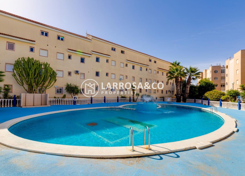 Reventa - Apartamento - Torrevieja - La Siesta - El Salado - Torreta