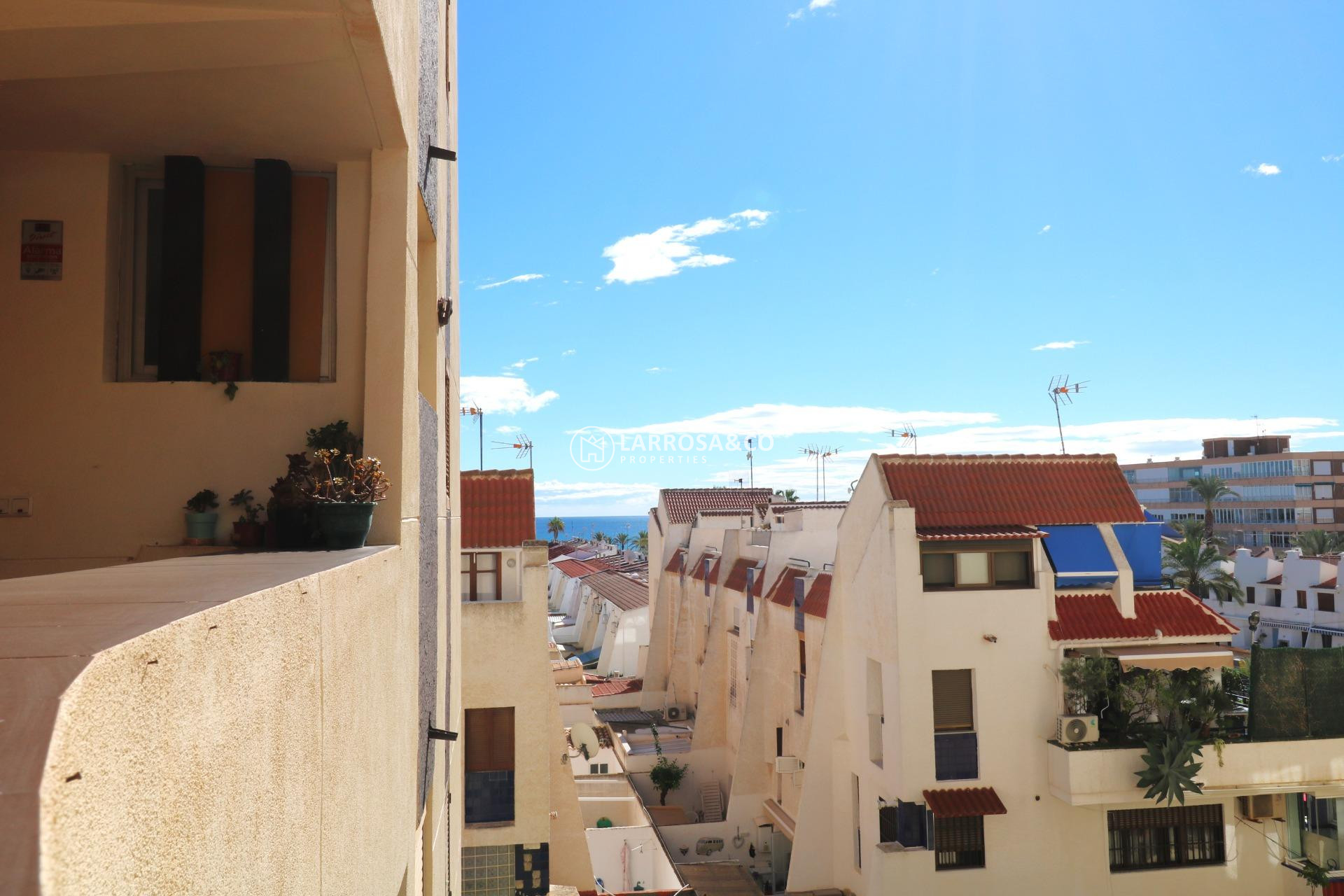Reventa - Apartamento - Torrevieja - La veleta