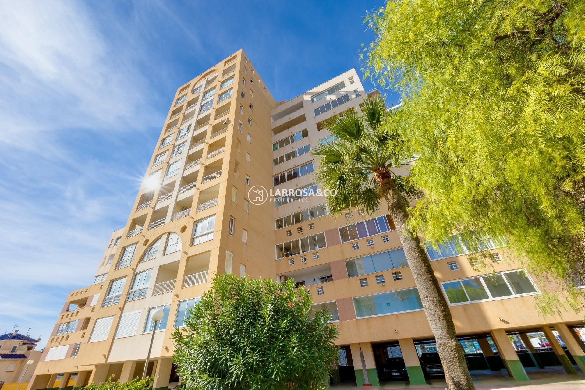 Reventa - Apartamento - Torrevieja - La veleta
