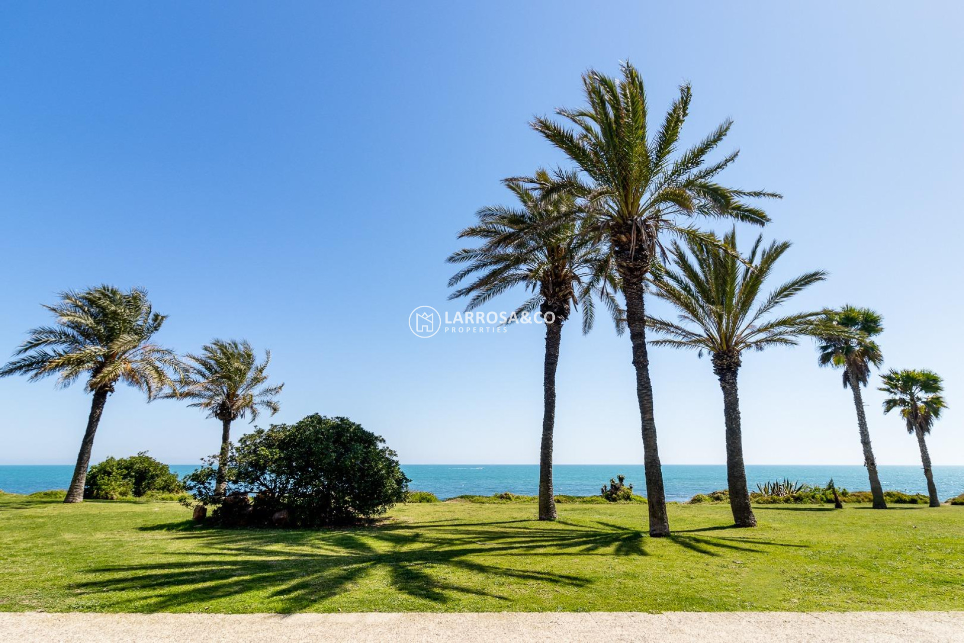 Reventa - Apartamento - Torrevieja - La veleta