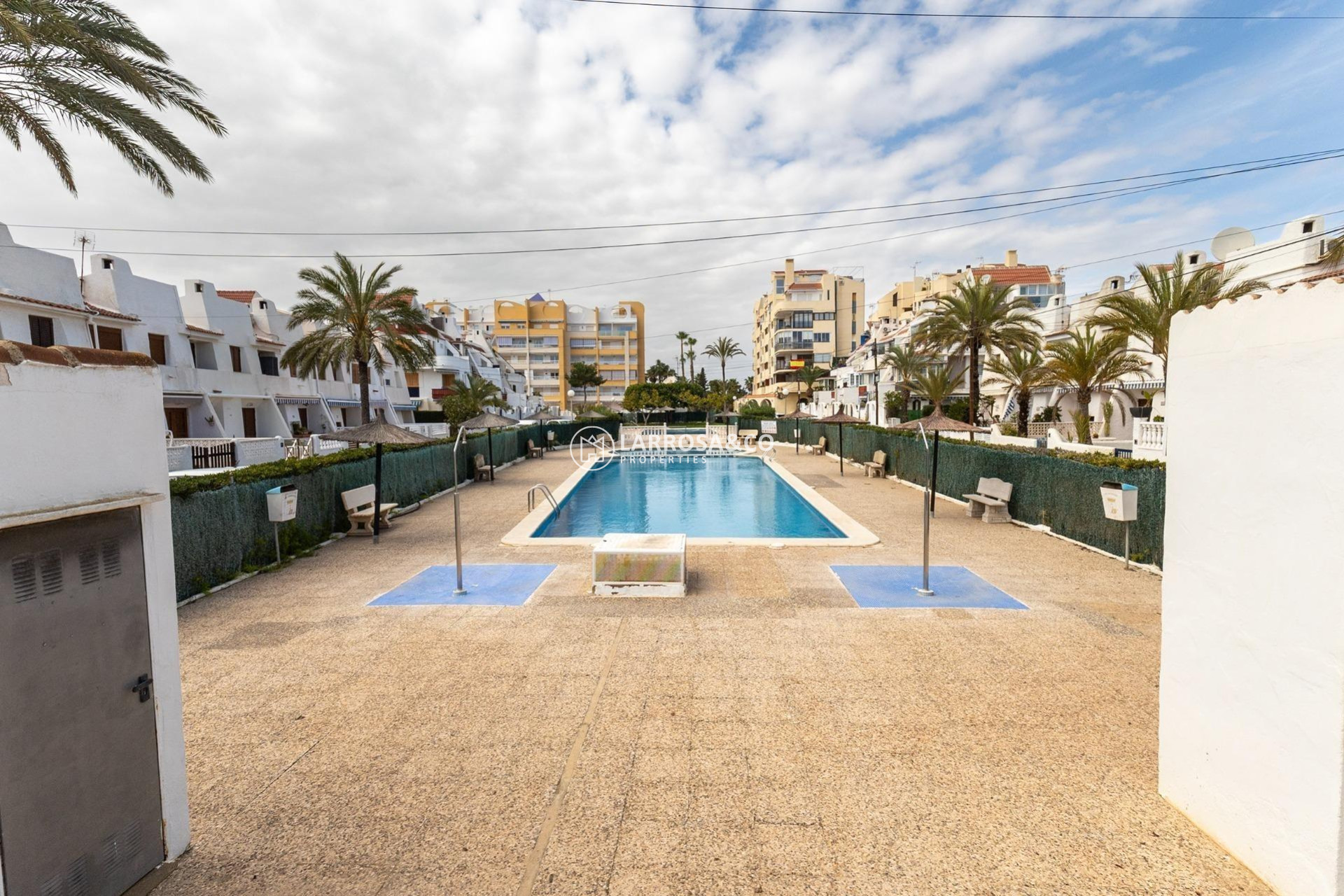 Reventa - Apartamento - Torrevieja - La veleta