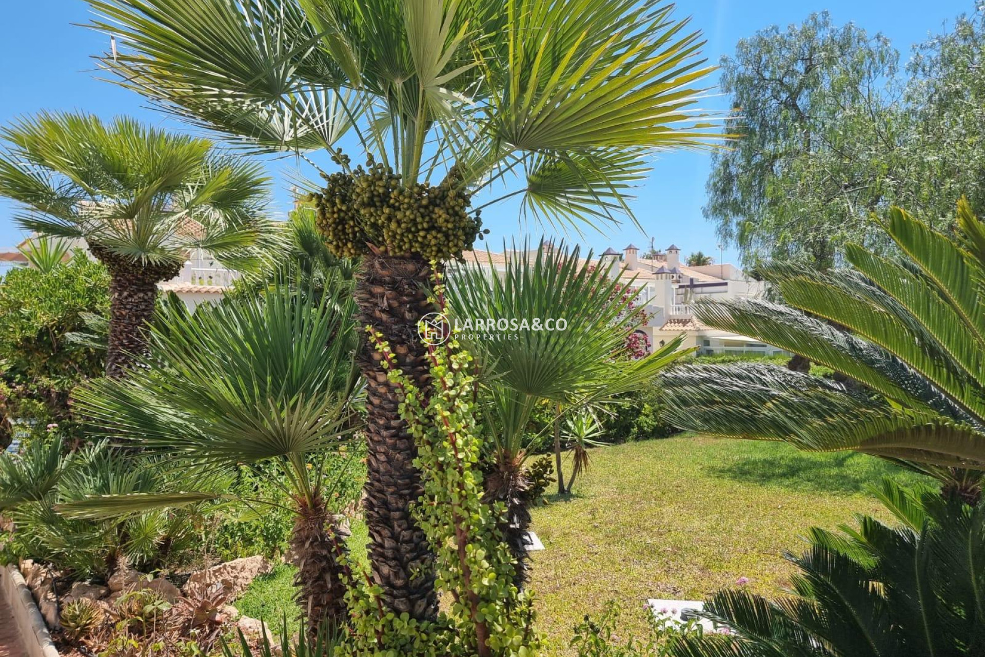 Reventa - Apartamento - Torrevieja - Los Balcones - Los Altos del Edén