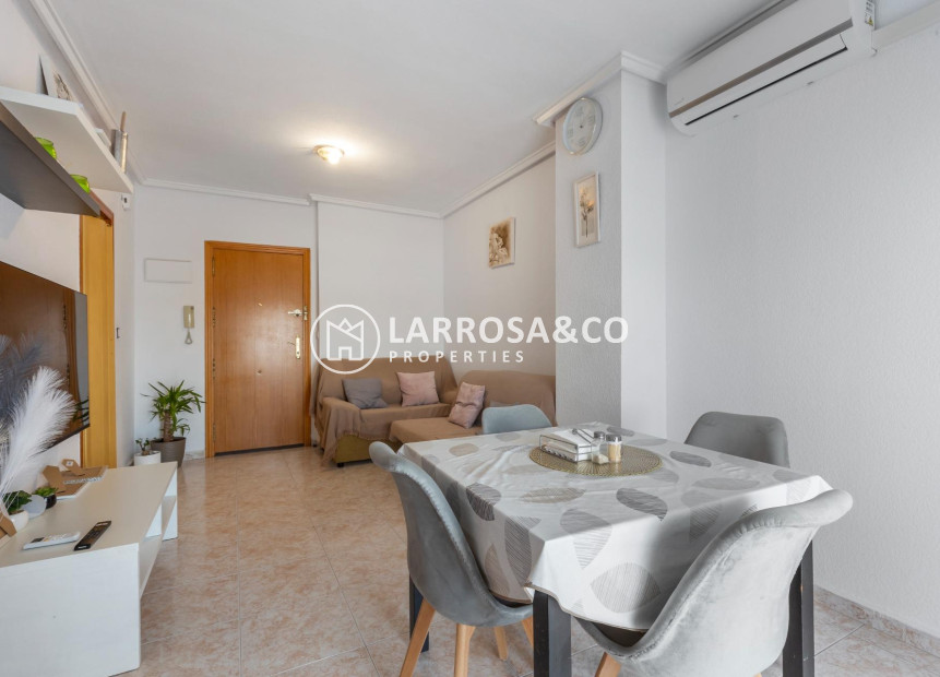 Reventa - Apartamento - Torrevieja - Nueva Torrevieja