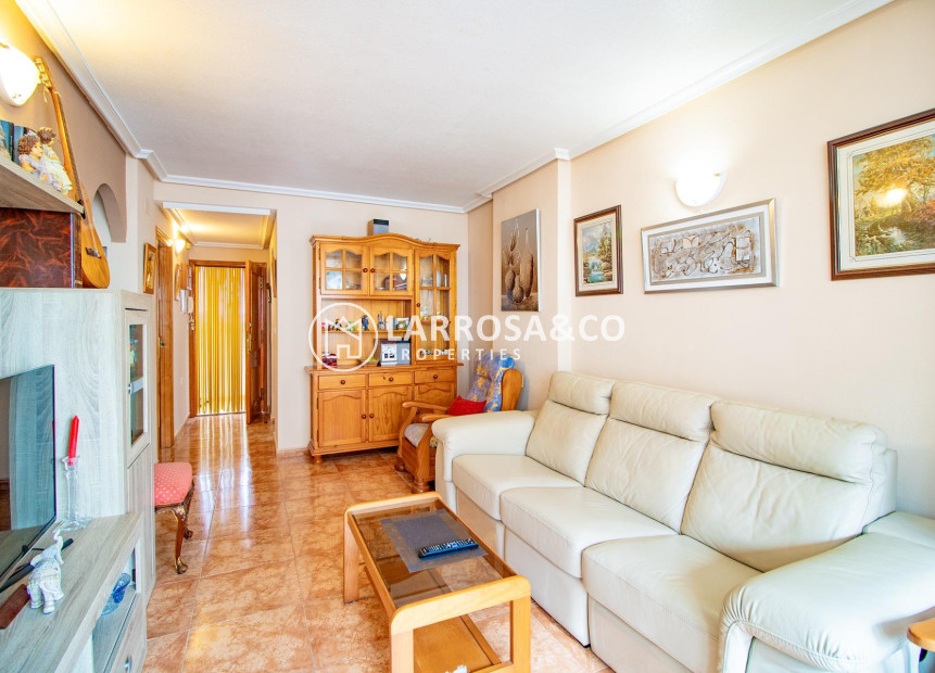 Reventa - Apartamento - Torrevieja - Nueva Torrevieja