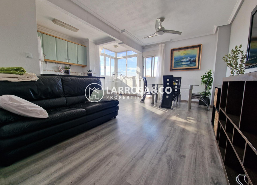 Reventa - Apartamento - Torrevieja - Nueva Torrevieja