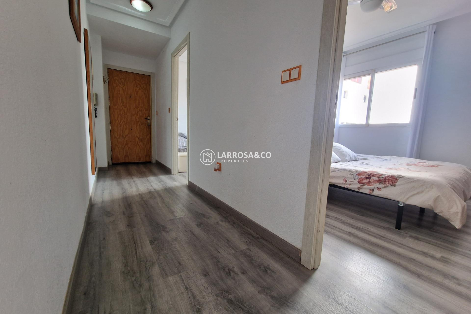 Reventa - Apartamento - Torrevieja - Nueva Torrevieja