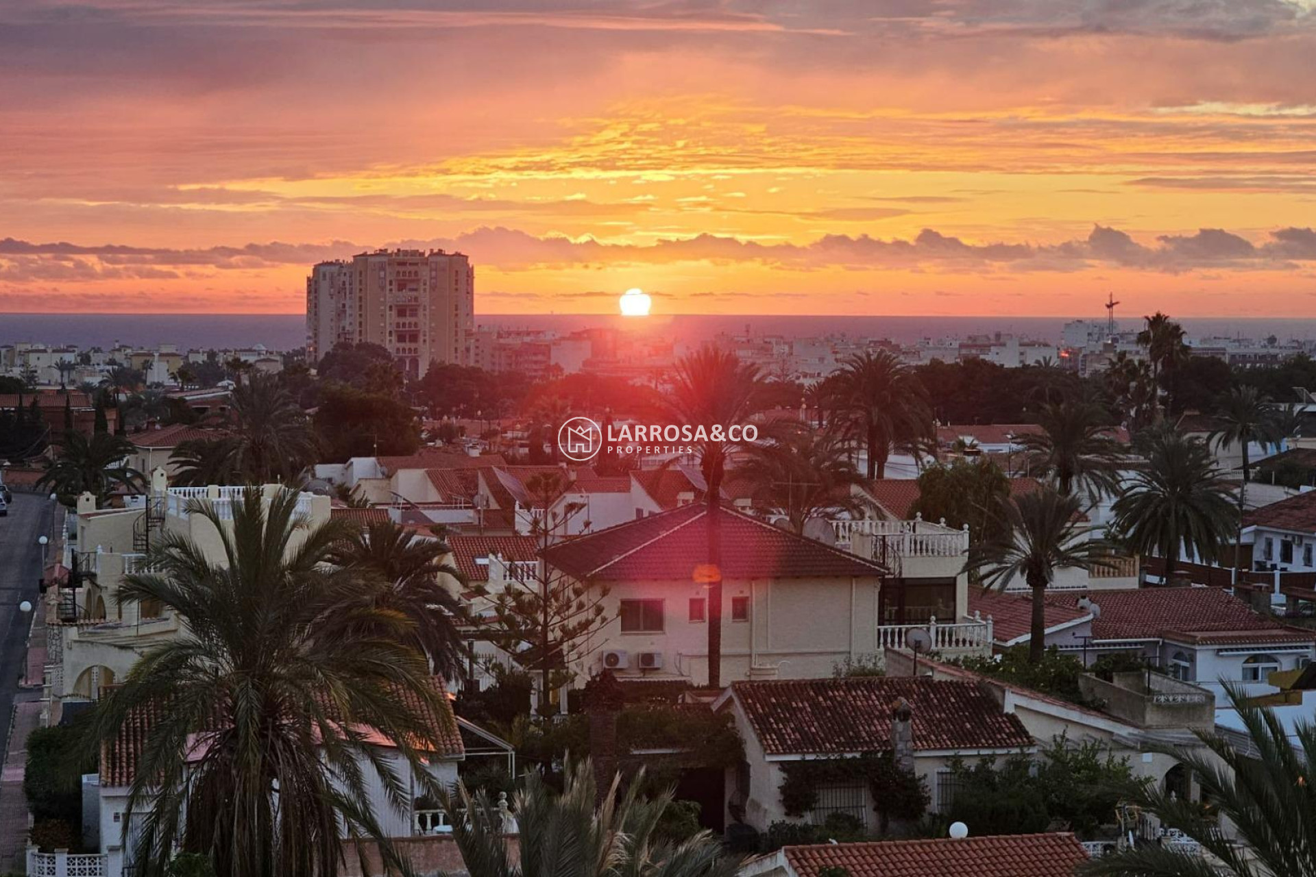 Reventa - Apartamento - Torrevieja - Nueva Torrevieja