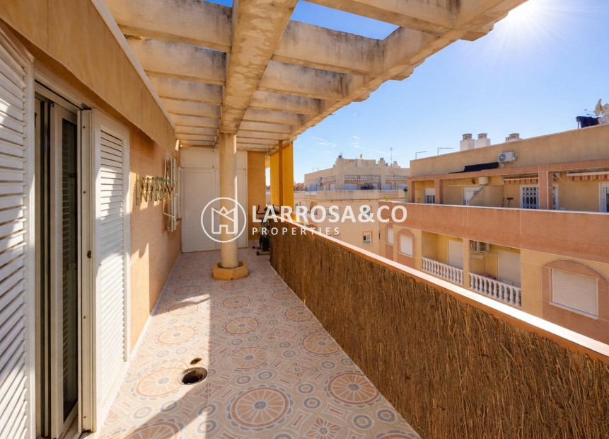 Reventa - Apartamento - Torrevieja - Parque de las Naciones