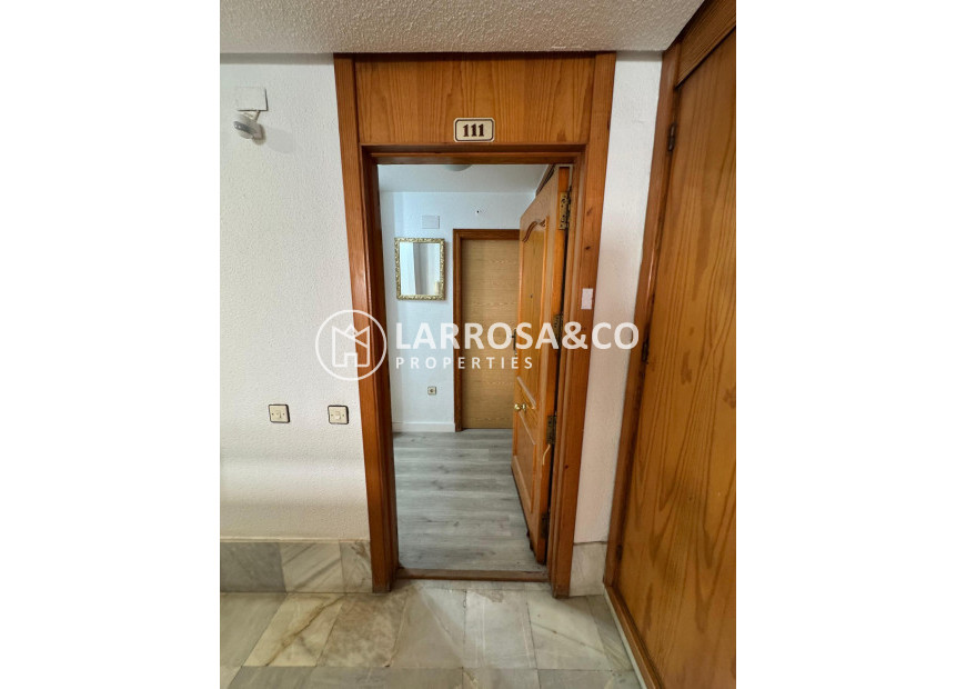 Reventa - Apartamento - Torrevieja - Playa de Los Locos-Curva del Palangre