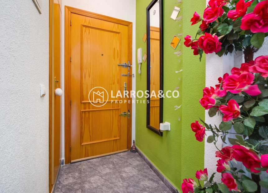 Reventa - Apartamento - Torrevieja - Playa del cura