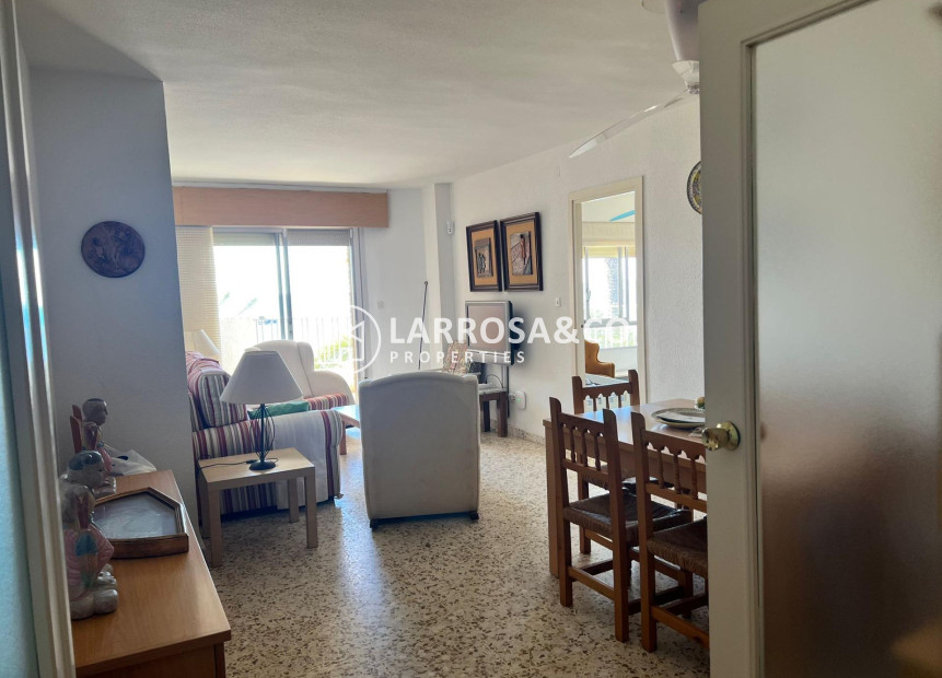 Reventa - Apartamento - Torrevieja - Playa del cura