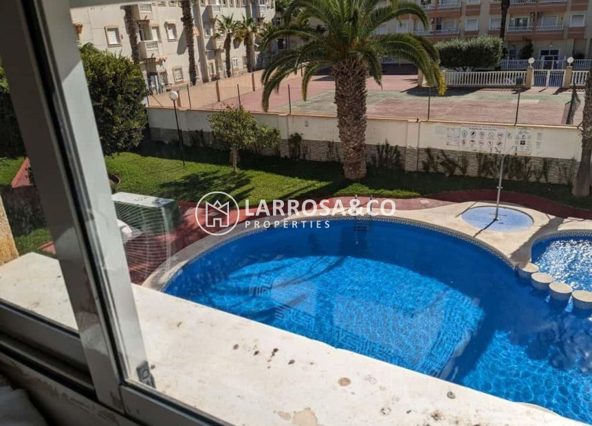 Reventa - Apartamento - Torrevieja - Playa del cura