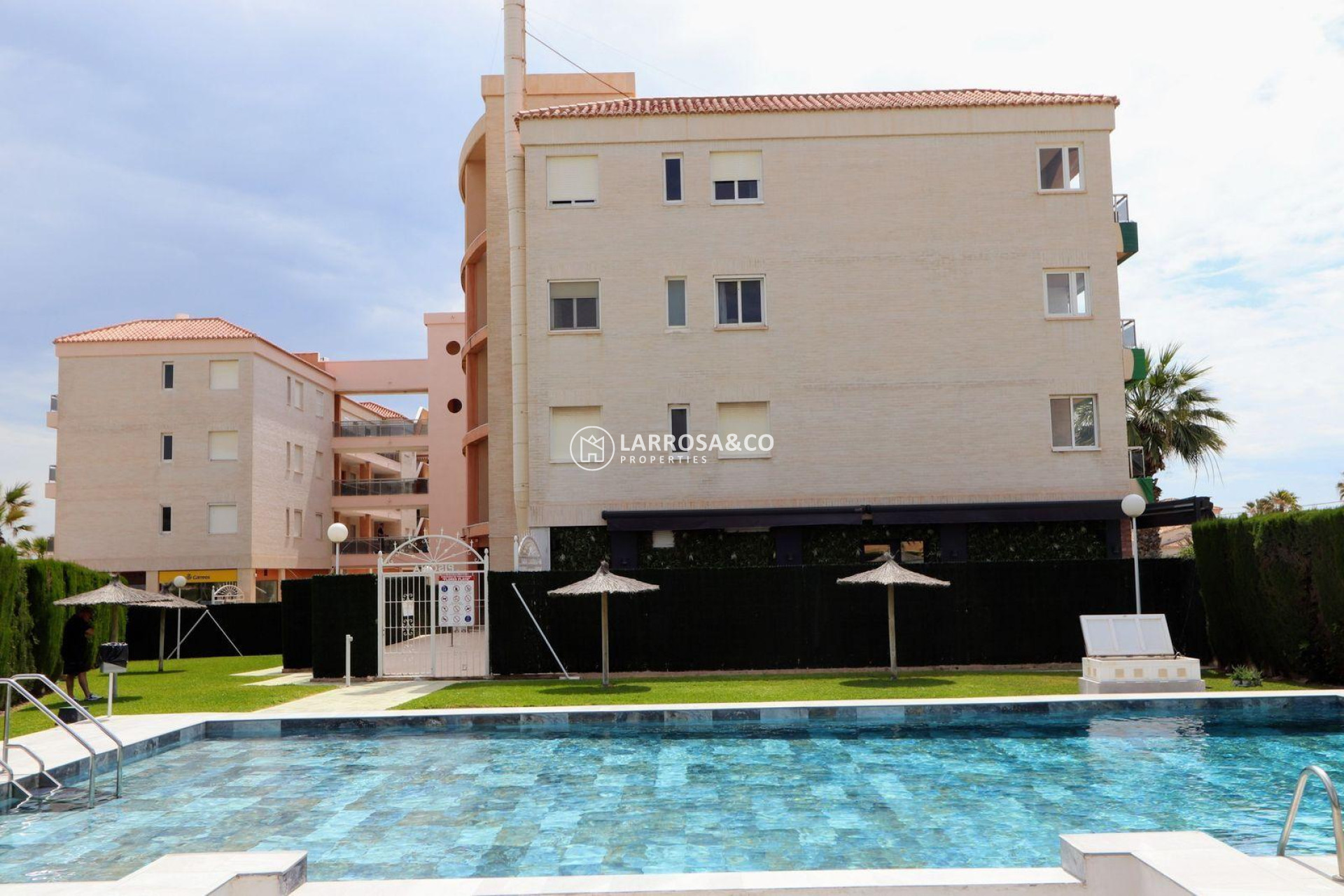 Reventa - Apartamento - Torrevieja - Playa Flamenca
