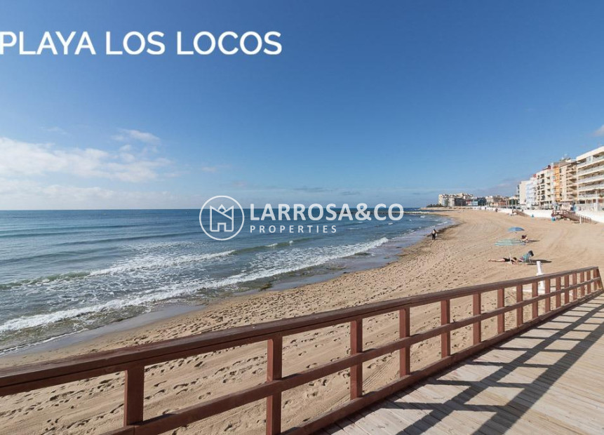 Reventa - Apartamento - Torrevieja - Playa Los Locos