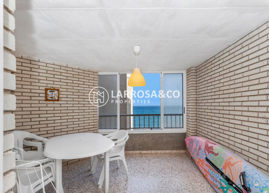 Reventa - Apartamento - Torrevieja - Playa Los Locos