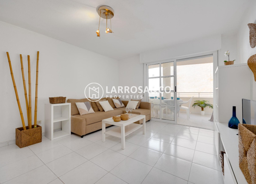 Reventa - Apartamento - Torrevieja - Playa Los Locos