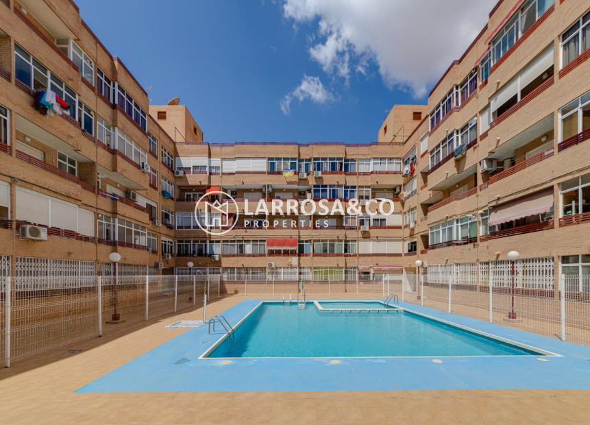 Reventa - Apartamento - Torrevieja - Playa Los Locos