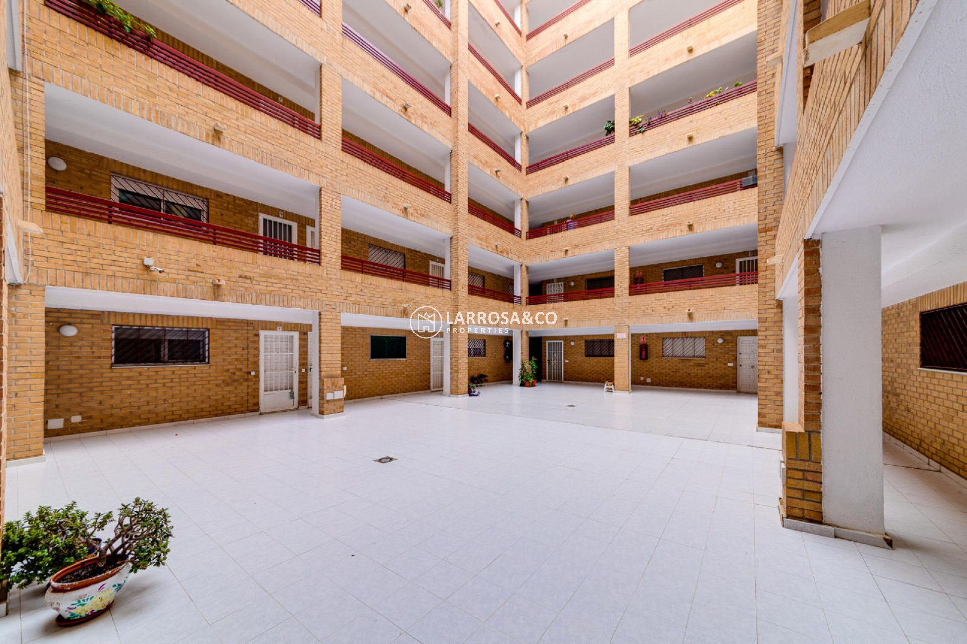 Reventa - Apartamento - Torrevieja - Playa Los Locos