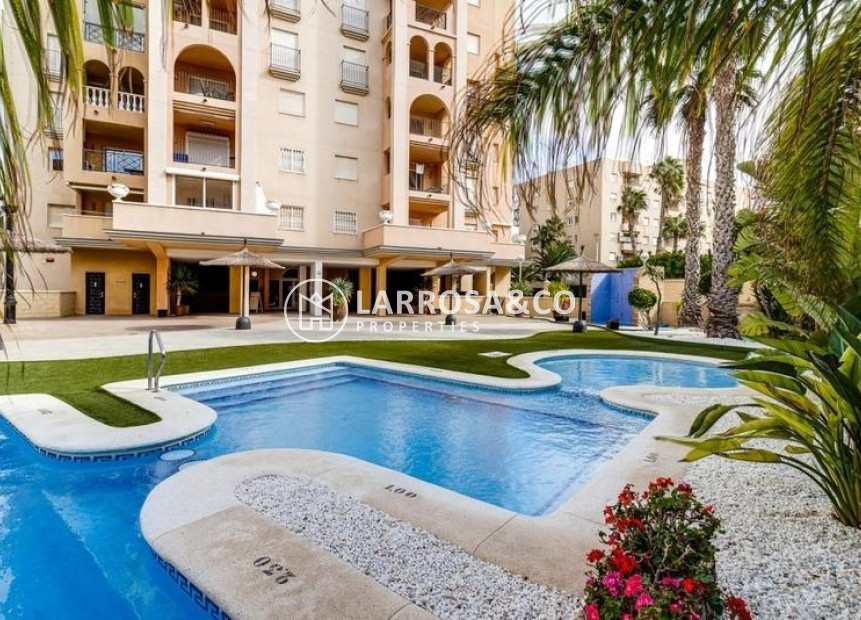 Reventa - Apartamento - Torrevieja - Playa Los Locos