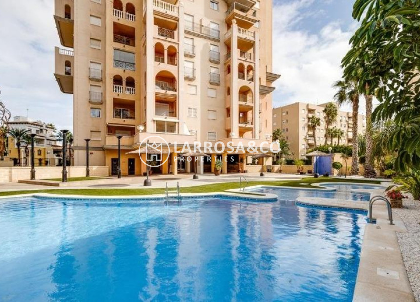 Reventa - Apartamento - Torrevieja - Playa Los Locos