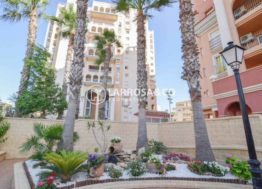 Reventa - Apartamento - Torrevieja - Playa Los Locos