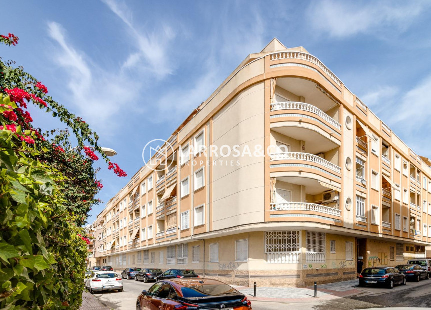 Reventa - Apartamento - Torrevieja - Playa Los Locos