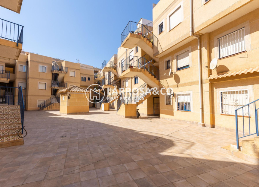 Reventa - Apartamento - Torrevieja - Playa Los Locos