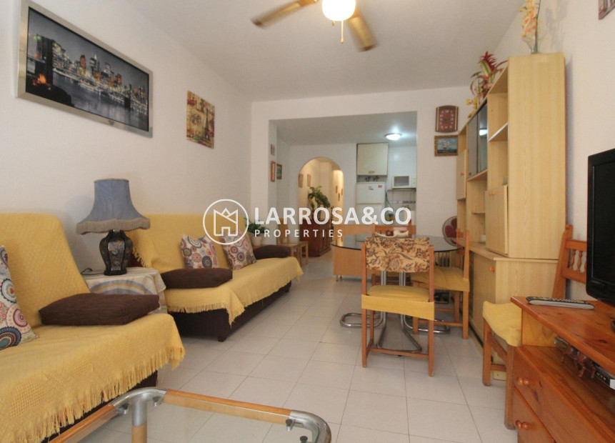 Reventa - Apartamento - Torrevieja - Playa Los Locos