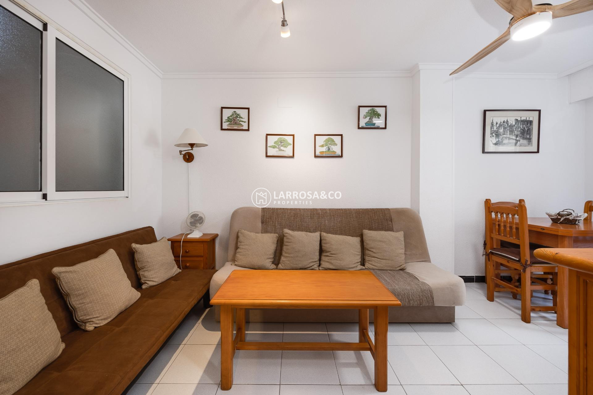 Reventa - Apartamento - Torrevieja - Playa Los Locos