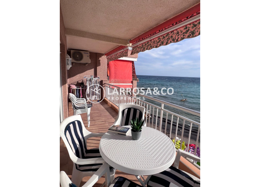 Reventa - Apartamento - Torrevieja - Playa Los Locos