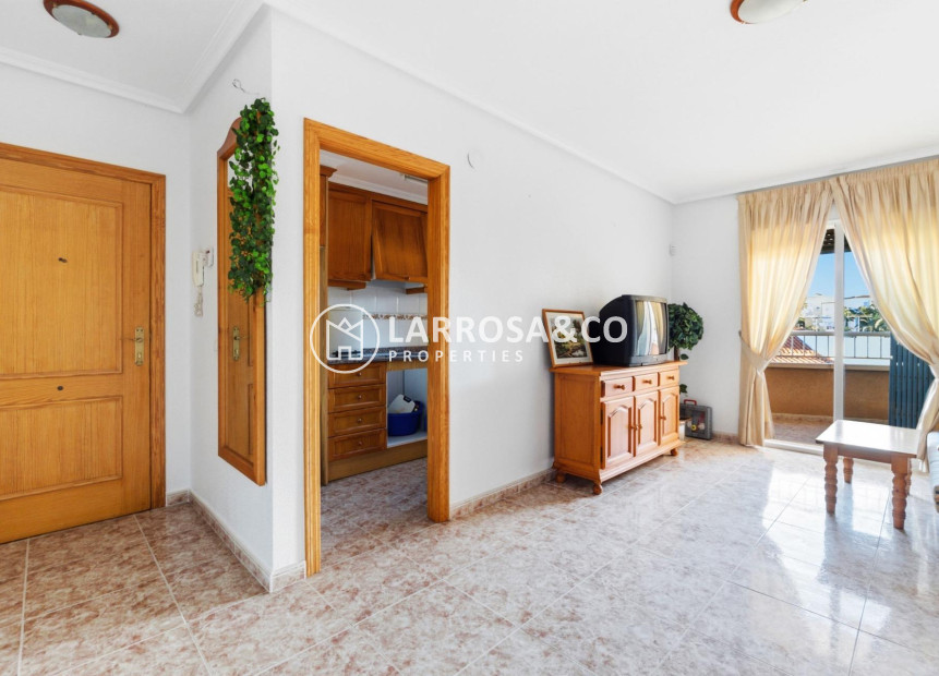 Reventa - Apartamento - Torrevieja - Playa Los Locos