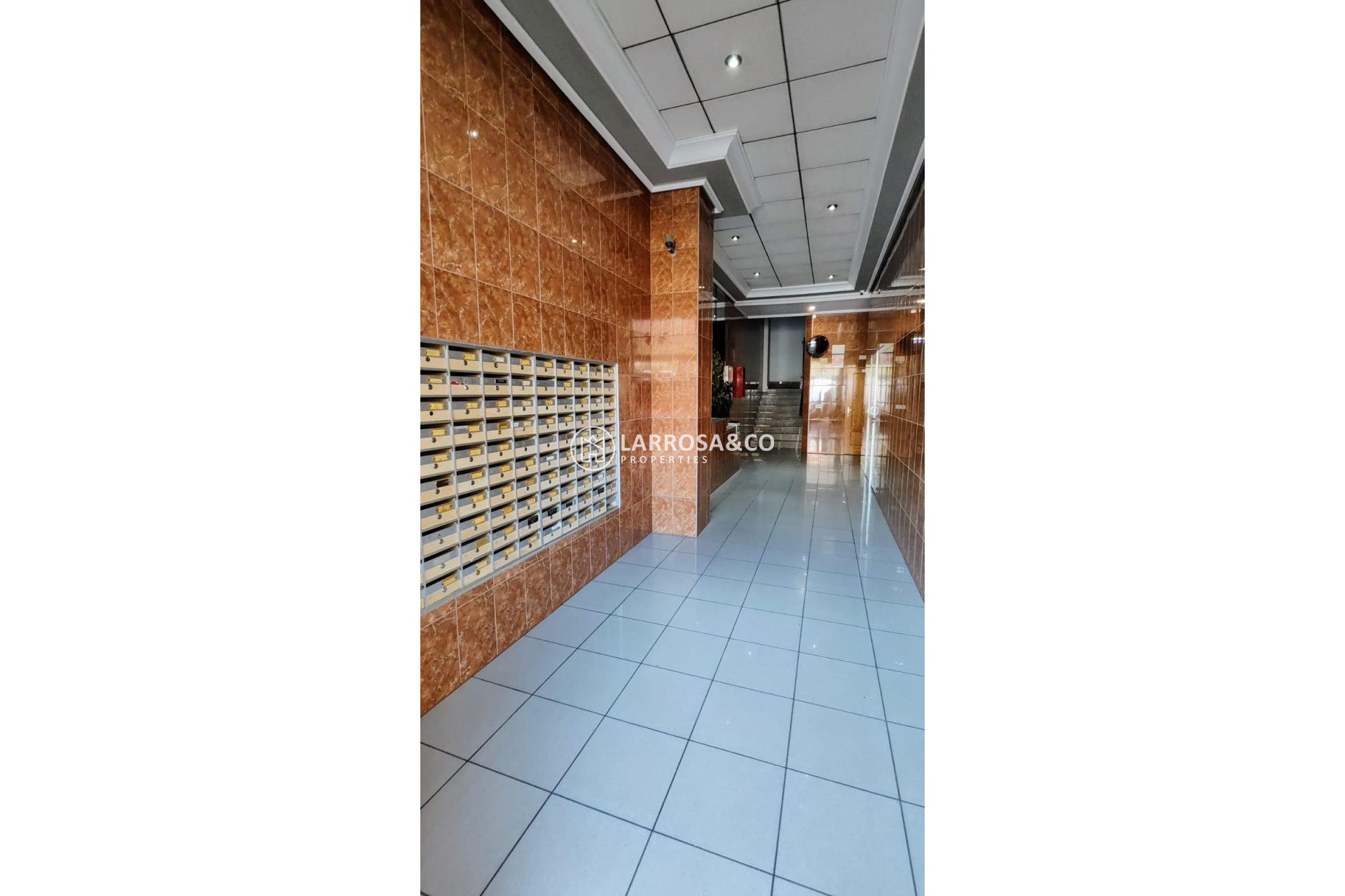 Reventa - Apartamento - Torrevieja - Playa Los Locos