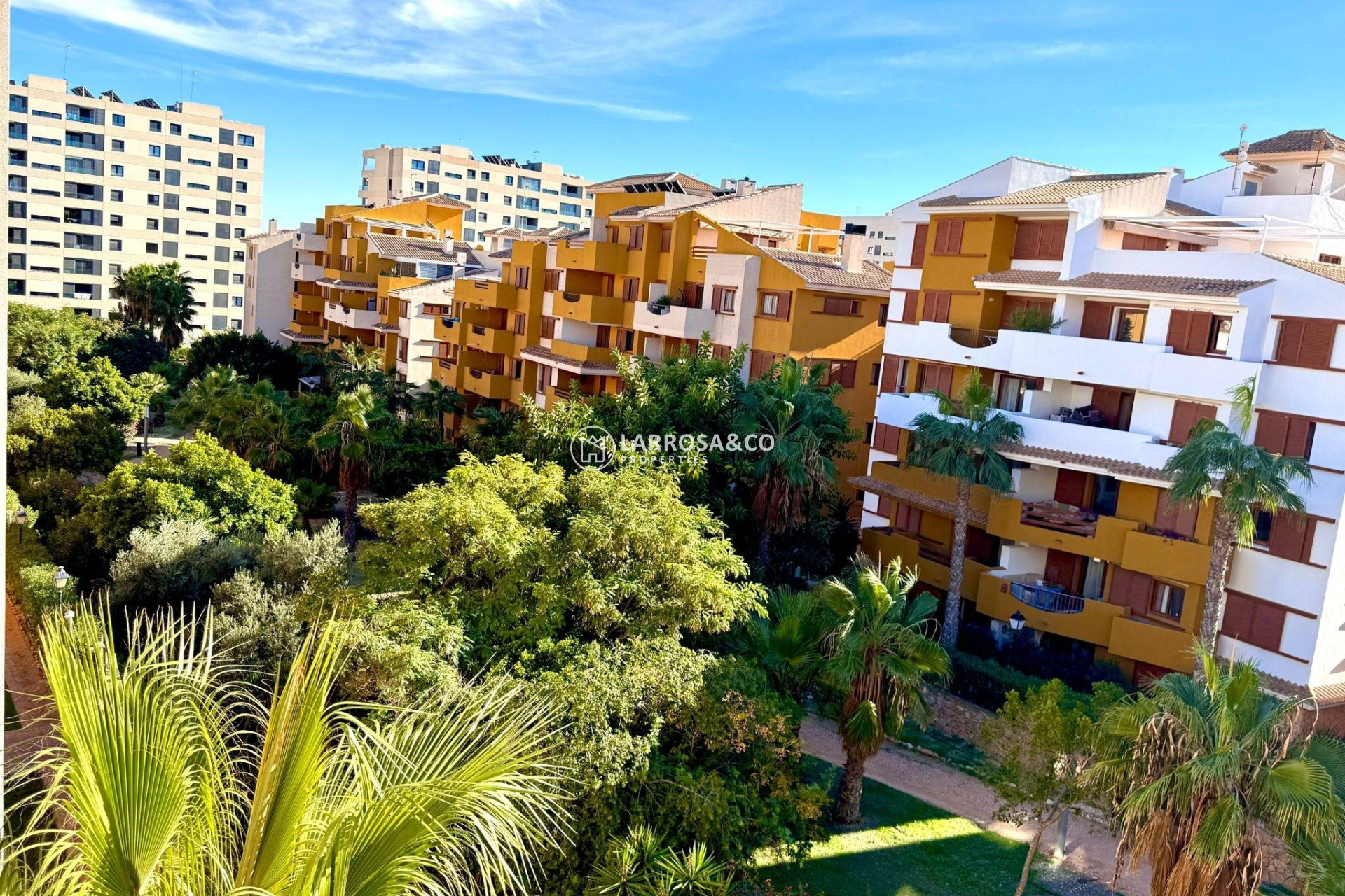 Reventa - Apartamento - Torrevieja - Punta Prima