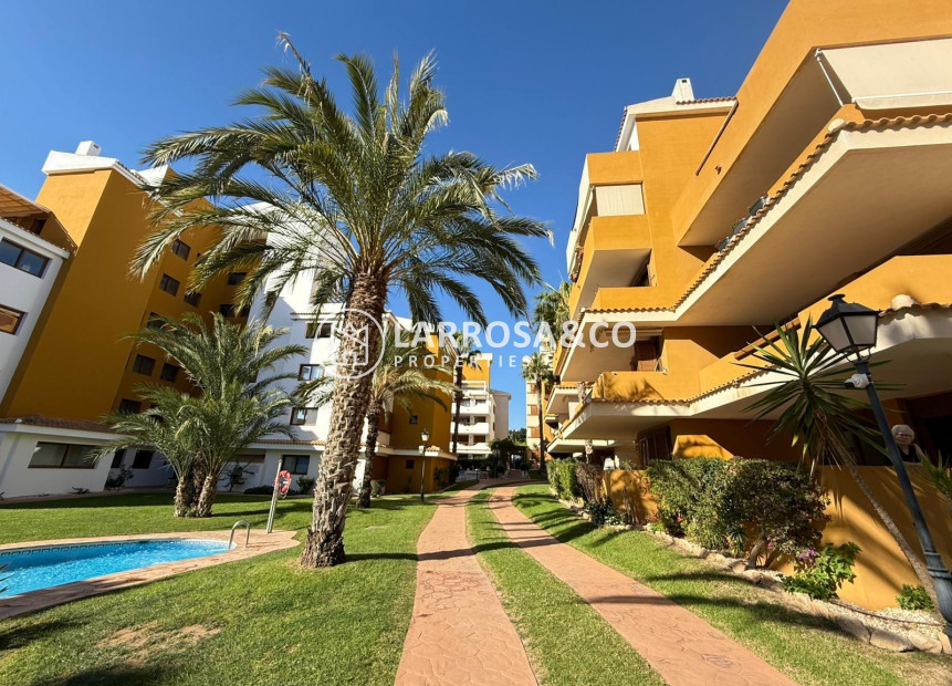 Reventa - Apartamento - Torrevieja - Punta Prima
