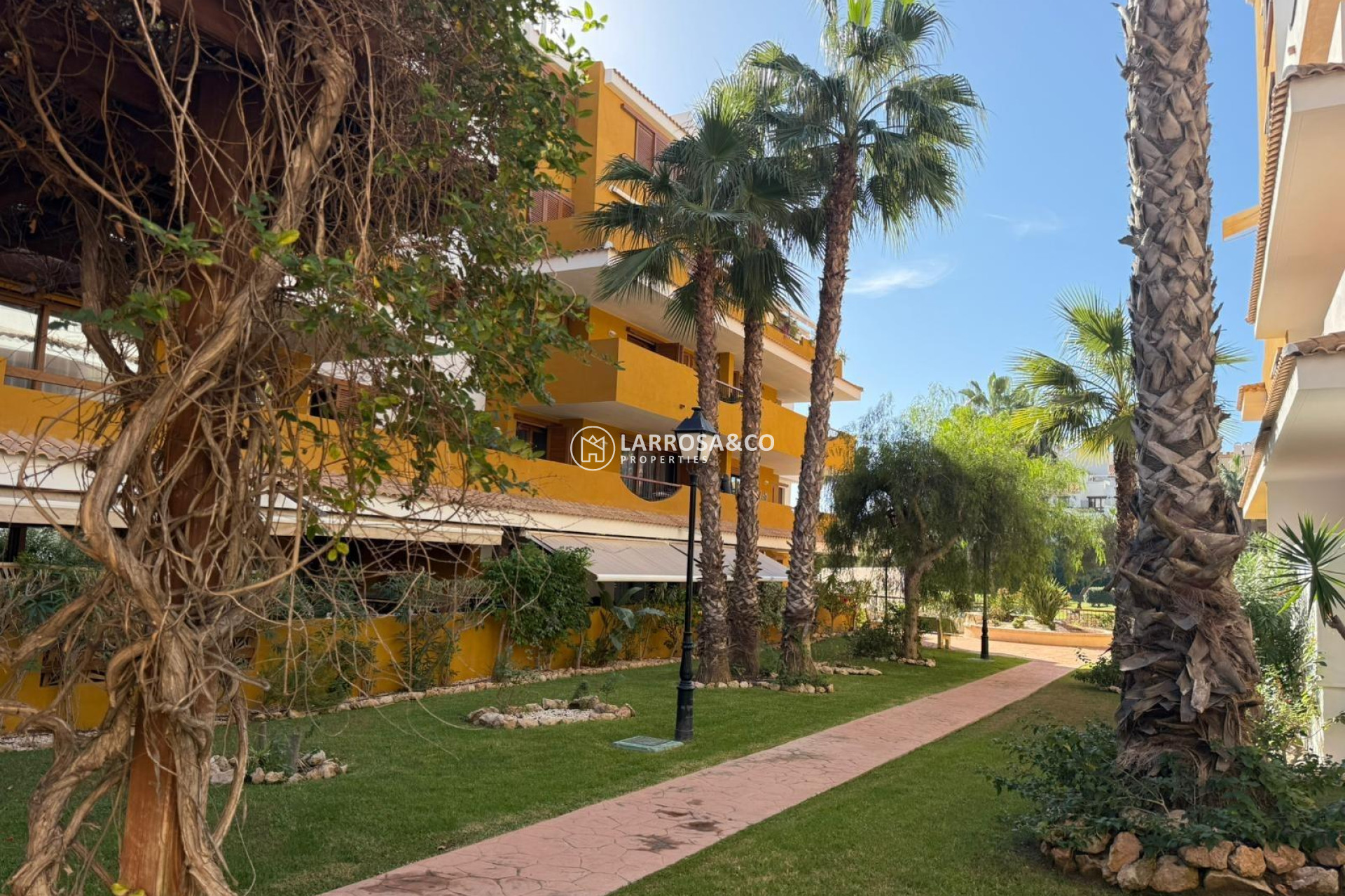 Reventa - Apartamento - Torrevieja - Punta Prima