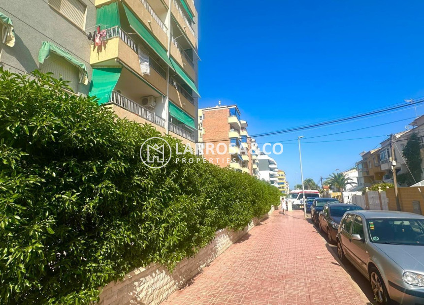 Reventa - Apartamento - Torrevieja - Punta Prima