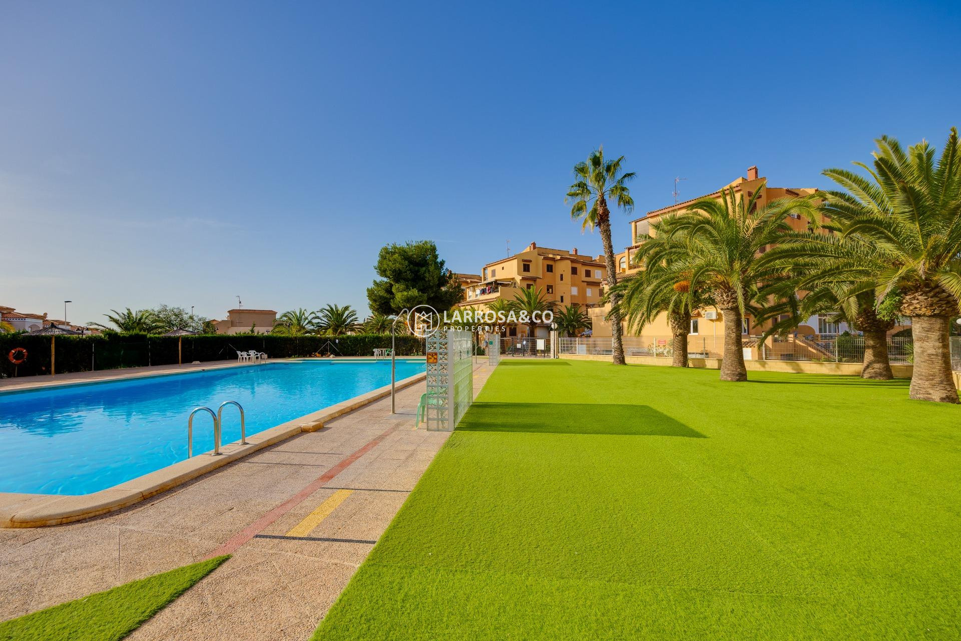 Reventa - Apartamento - Torrevieja - Torreblanca