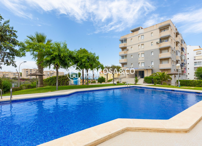 Reventa - Apartamento - Torrevieja - Torreblanca