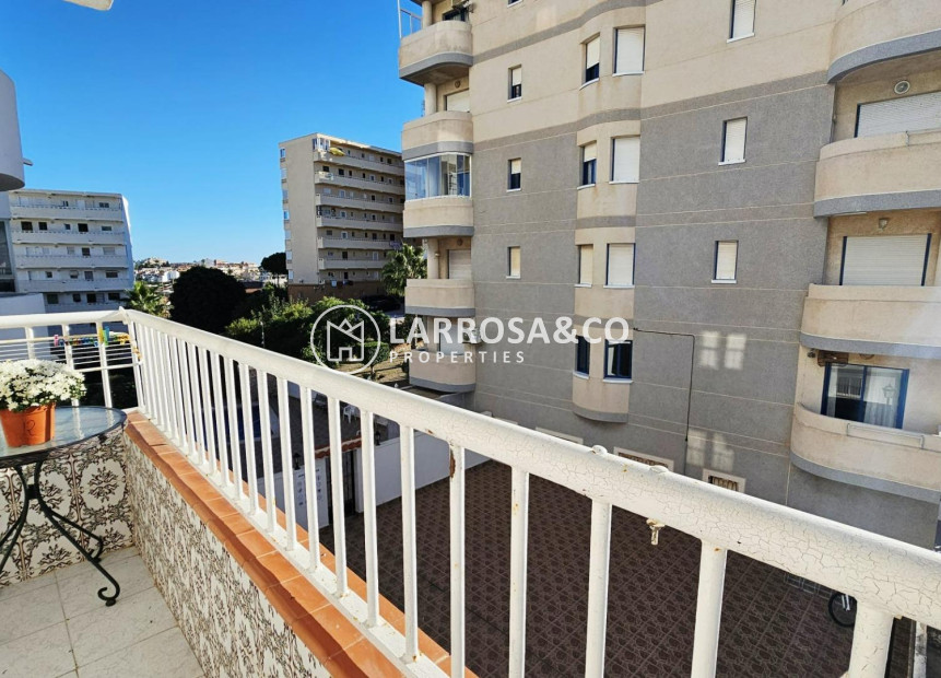 Reventa - Apartamento - Torrevieja - Torreblanca