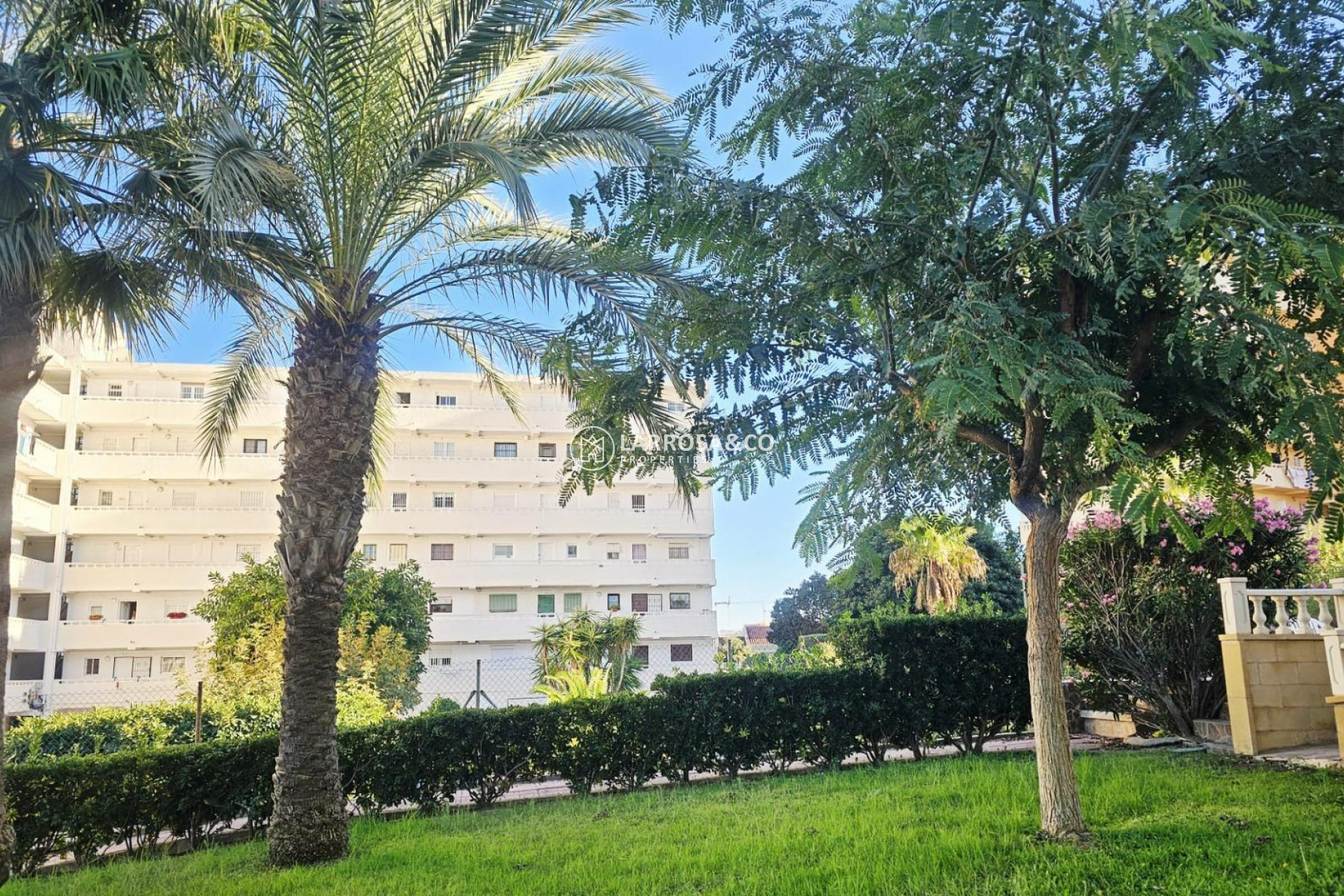 Reventa - Apartamento - Torrevieja - Torreblanca