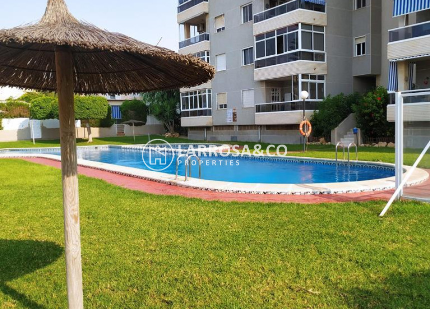 Reventa - Apartamento - Torrevieja - Torreblanca