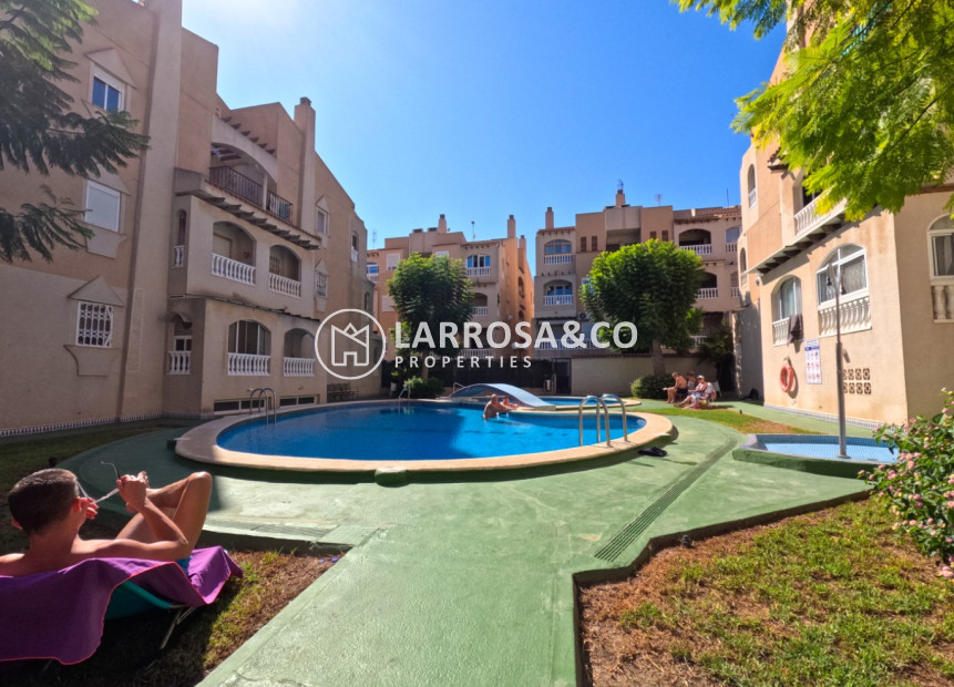 Reventa - Apartamento - Torrevieja - torrevieja