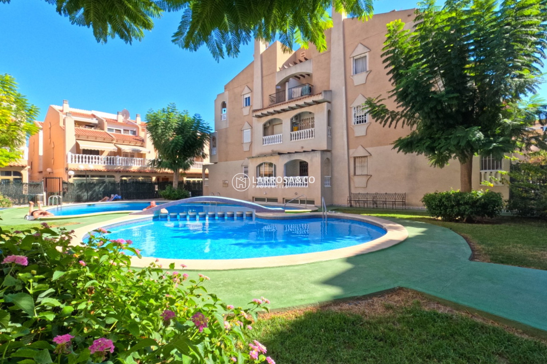 Reventa - Apartamento - Torrevieja - torrevieja
